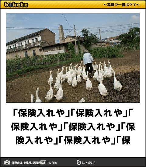 平均寿命「女性87.57歳、男性81.47歳」だが…定年後「夫婦で25年生きる」ときに必要な衝撃の貯蓄額