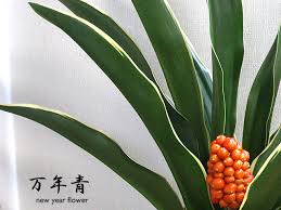 風水って信じますか？