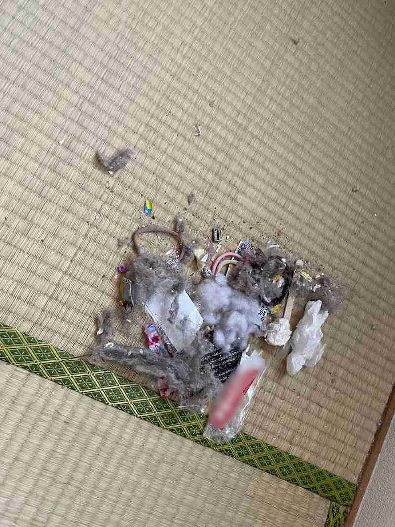 才賀紀左衛門　子育てへの思い吐露「子育てって大変やし会いたい時だけ会うとかじゃないのでなめんなって」