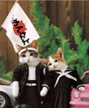才賀紀左衛門　子育てへの思い吐露「子育てって大変やし会いたい時だけ会うとかじゃないのでなめんなって」