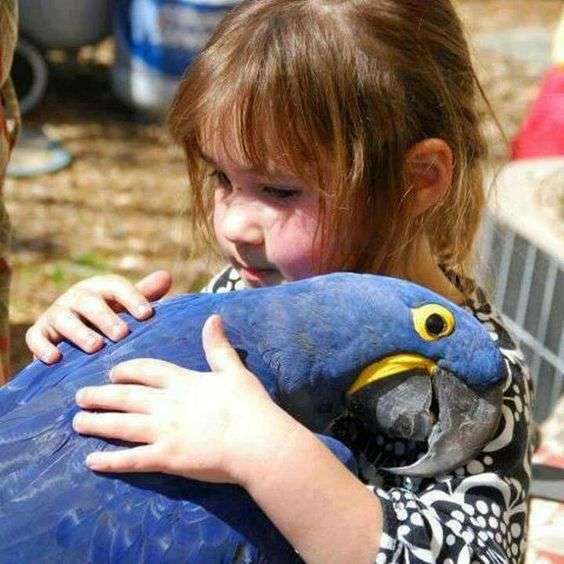 動物と触れ合いたい