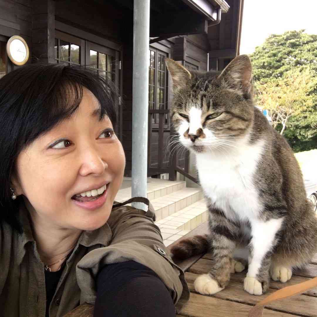 動物と触れ合いたい