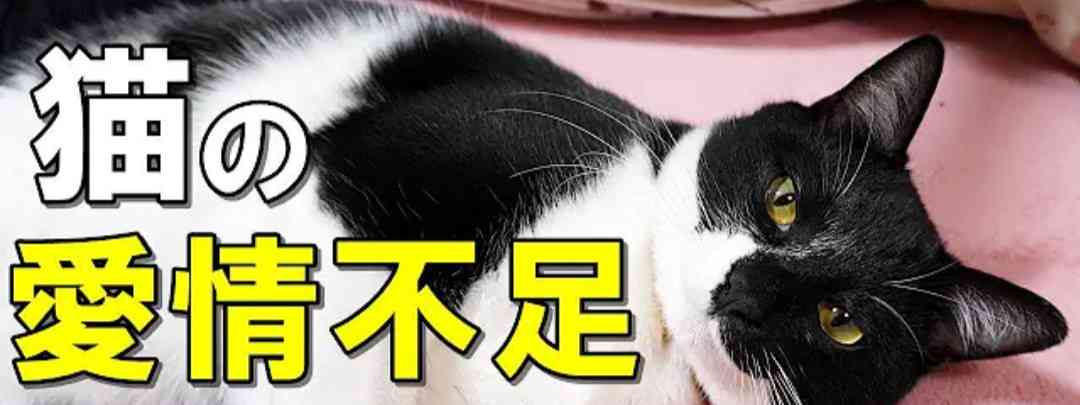 動物と触れ合いたい