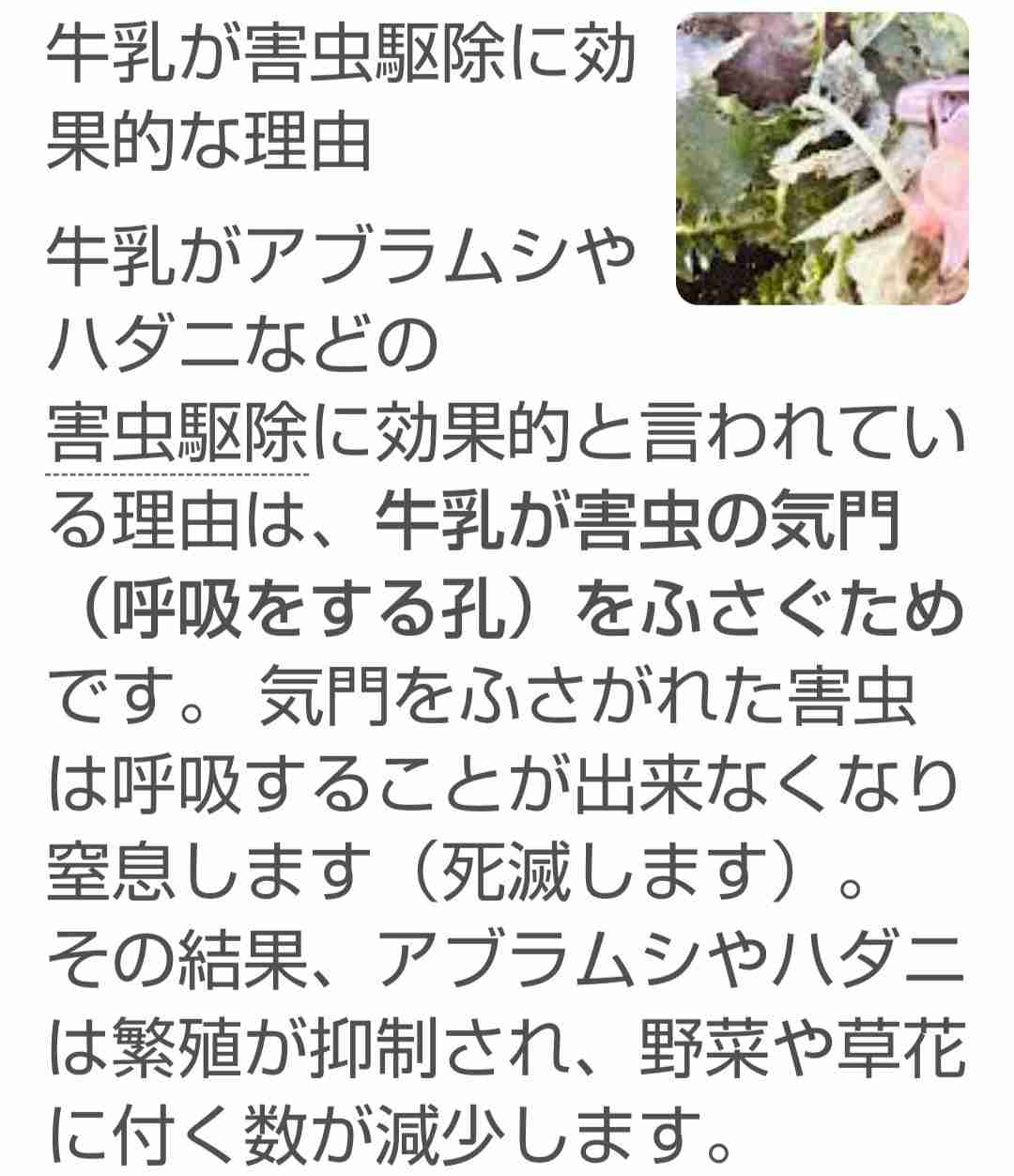 自治体の女性職員を撮影、SNS投稿する「セクハラ＆カスハラ」も　「納税者だから」の歪んだ意識