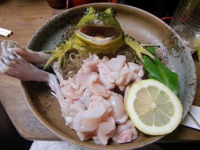 いろんな料理の盛り付けが見たい