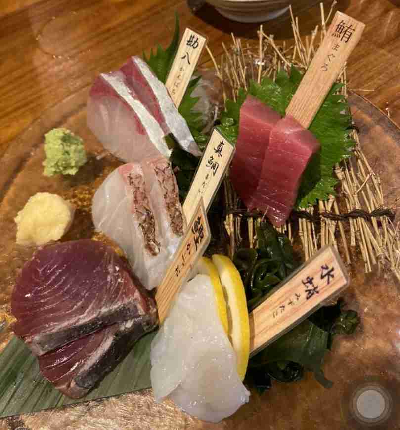 いろんな料理の盛り付けが見たい