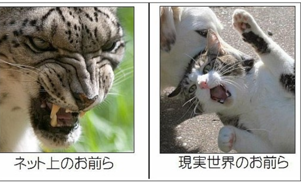 ネットの意見って極端すぎませんか?