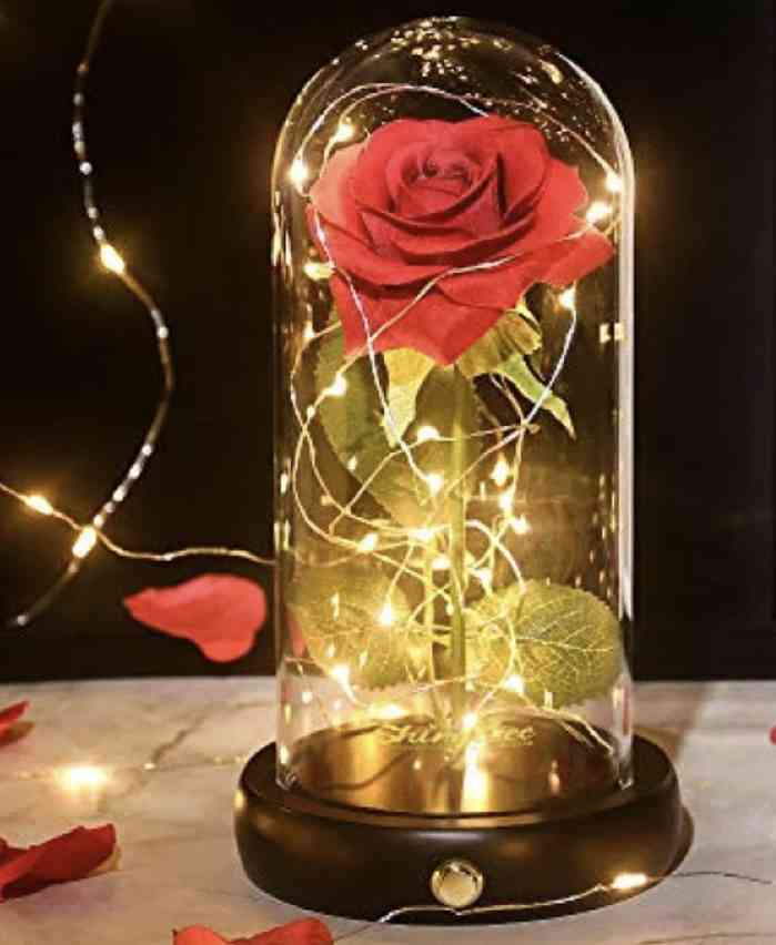 真木よう子、光るバラの飾り物プレゼントに感謝「演技でない素のよう子さんの笑顔、本当にお綺麗」