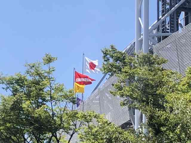 スポーツ観戦が好き