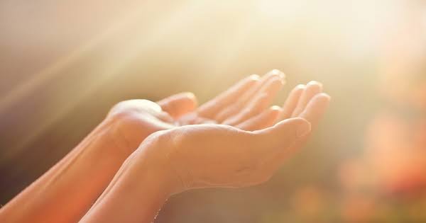 幸せなペットが増えるためには？