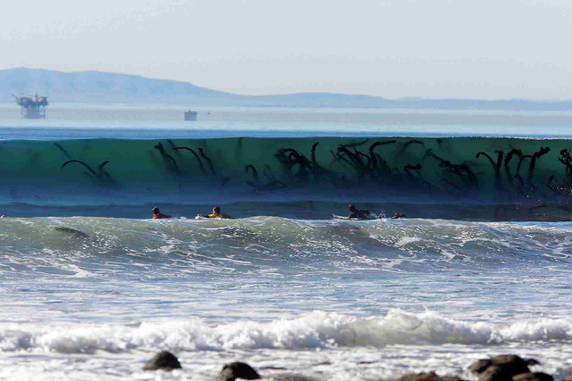 【閲覧注意】海や湖が怖くなる画像くださいPart2