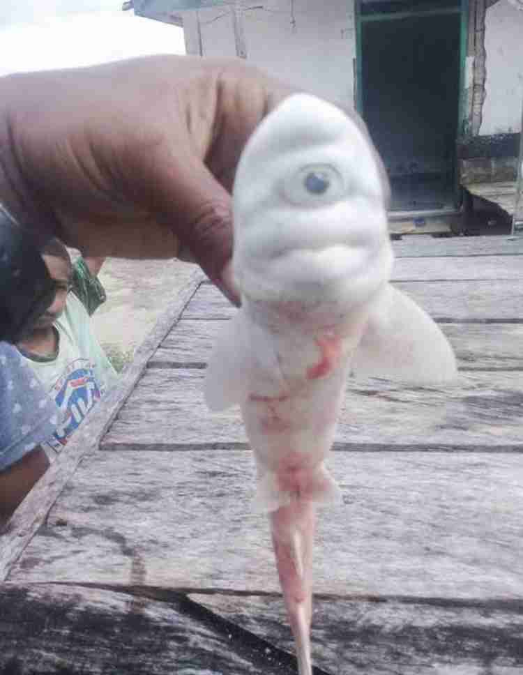 【閲覧注意】海や湖が怖くなる画像くださいPart2