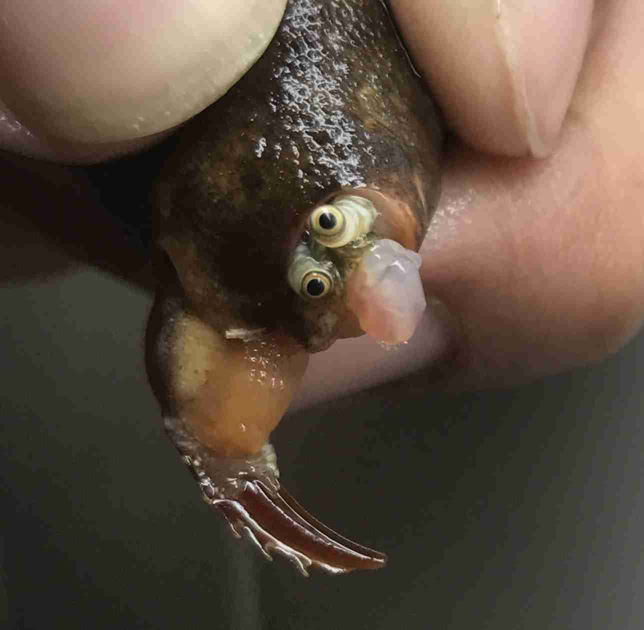 【閲覧注意】海や湖が怖くなる画像くださいPart2