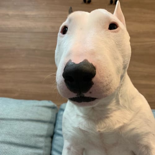 料理研究家あるある