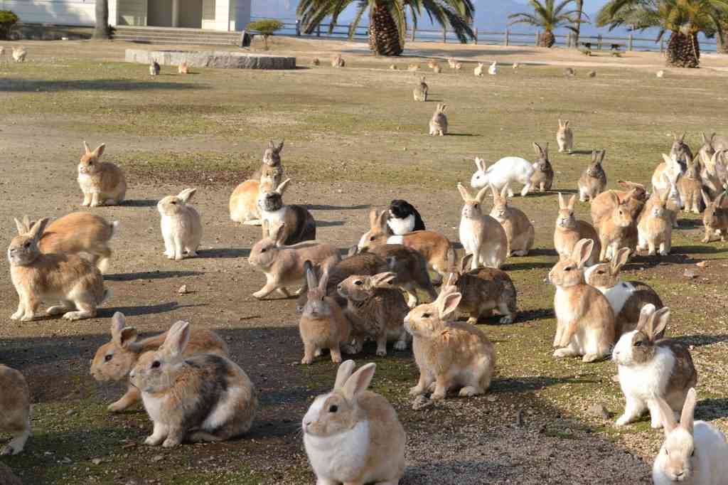 地元の方が自信持って勧める観光地