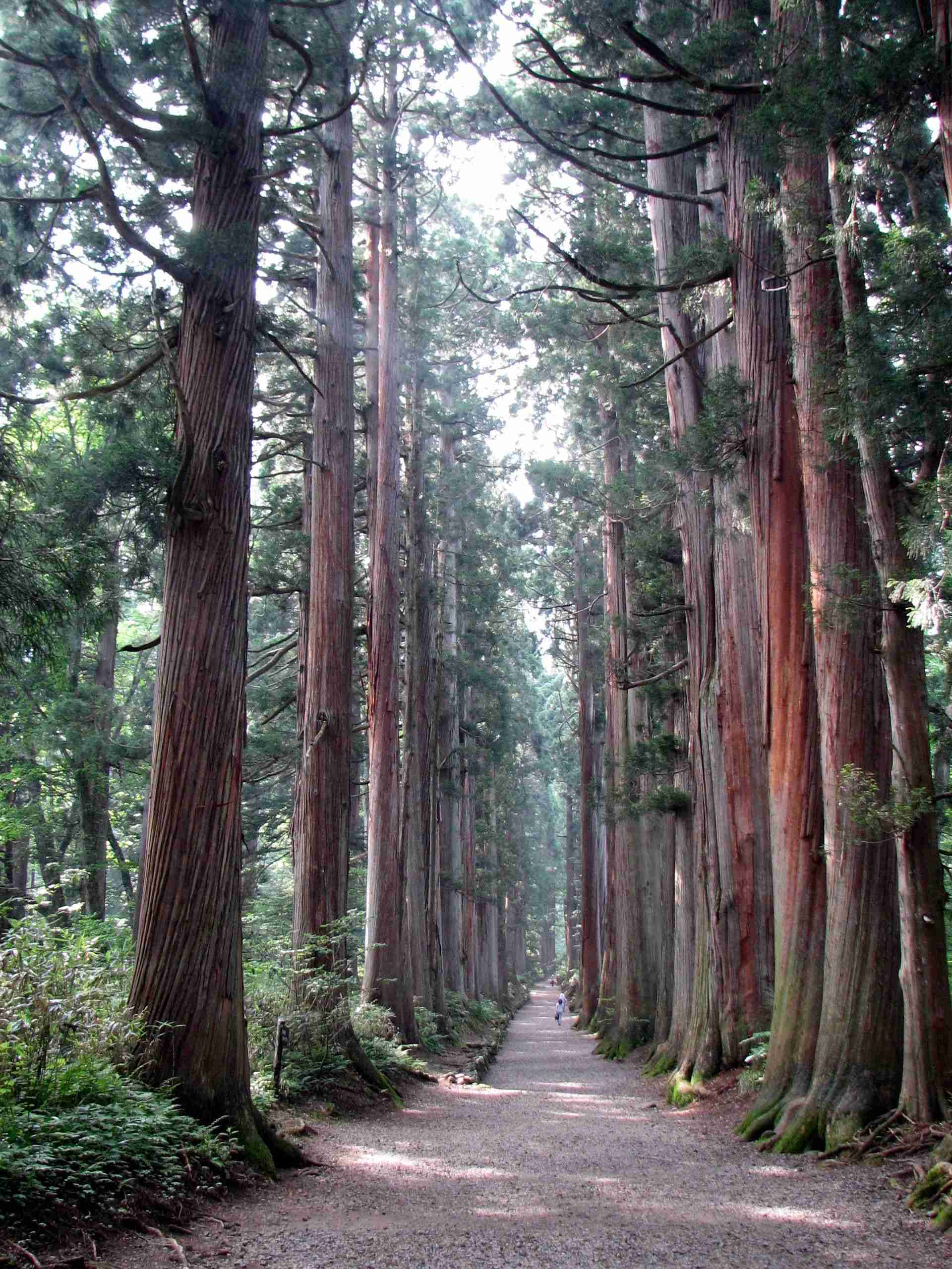 地元の方が自信持って勧める観光地