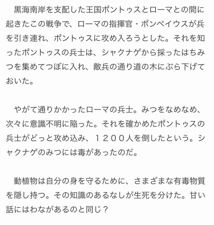 “酔っ払った”クマを保護　幻覚作用のあるハチミツで…。　トルコ