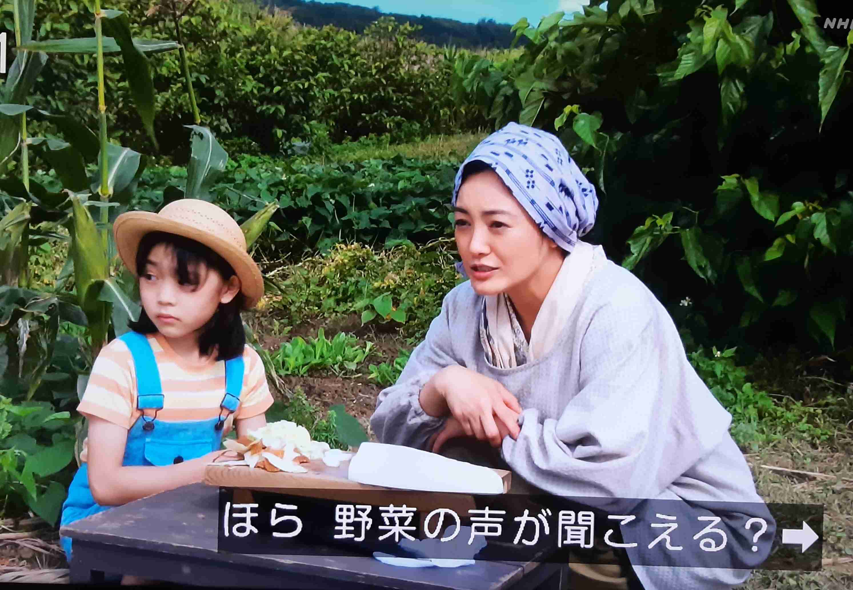 「ちむどんどん」を好意的に見てる人　Part.3