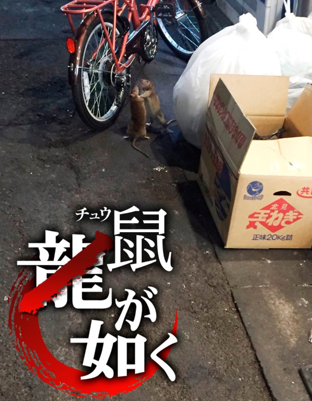 東京都心に憧れはありますか？