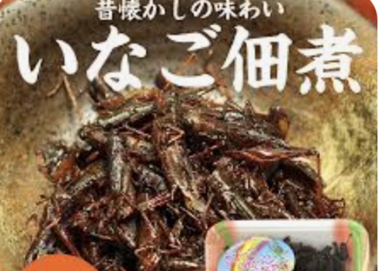 「食用コオロギ」ルール整備で生産拡大 食料安全保障追い風に昆虫食普及へ