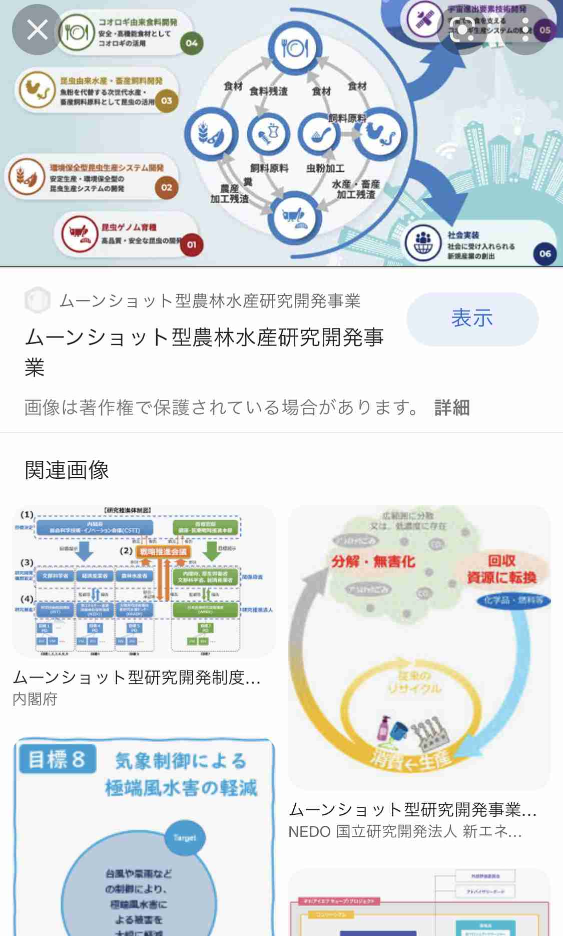 「食用コオロギ」ルール整備で生産拡大 食料安全保障追い風に昆虫食普及へ