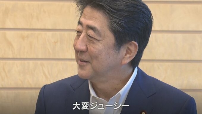 応援している政治家