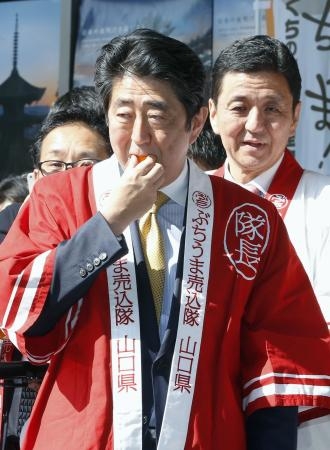 応援している政治家