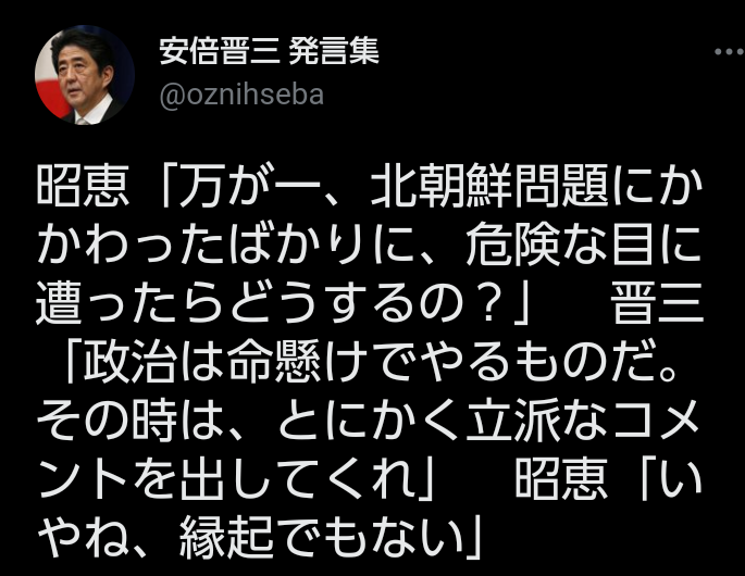 応援している政治家