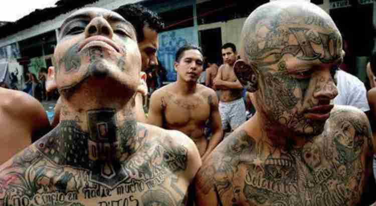 「ツーリングするから立川市民よろしく」「来るなら来い」