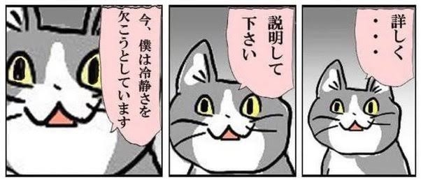 私の好きなものを否定する人の心理