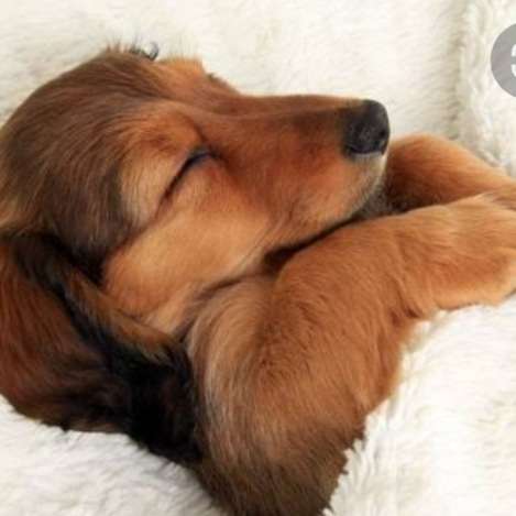 モヤモヤして眠れないこと