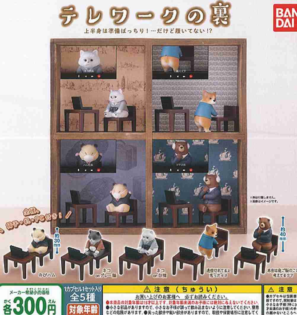 最近ガチャガチャで手に入れたもの見せてください