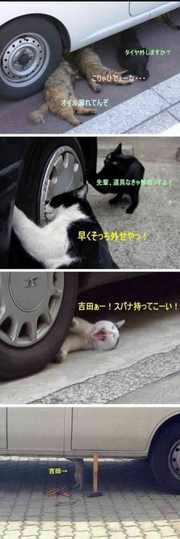 誰か私を笑わせてくださいpart7