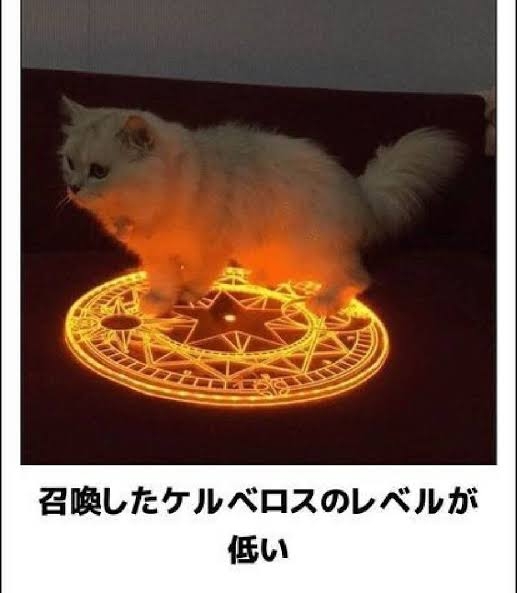 誰か私を笑わせてくださいpart7