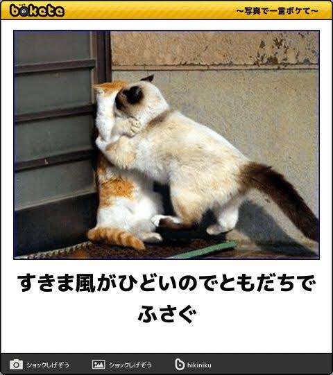 誰か私を笑わせてくださいpart7