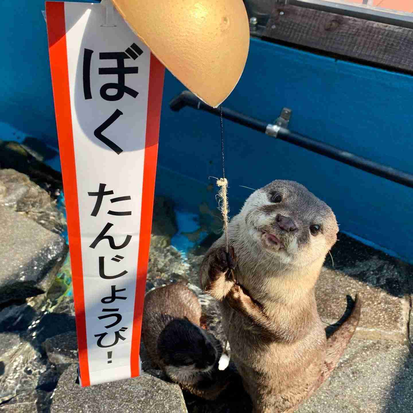 誰か私を笑わせてくださいpart7