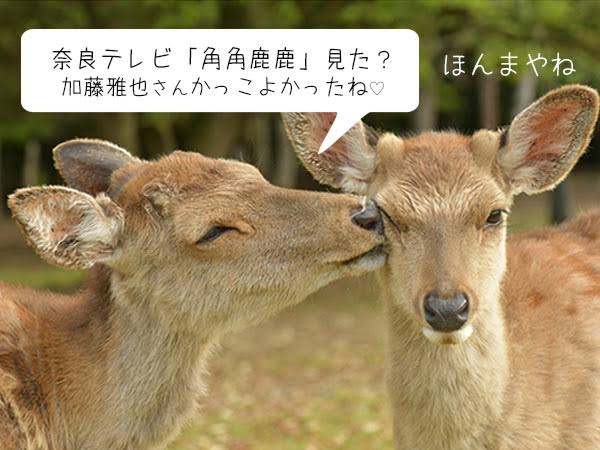 関西弁が好きー!