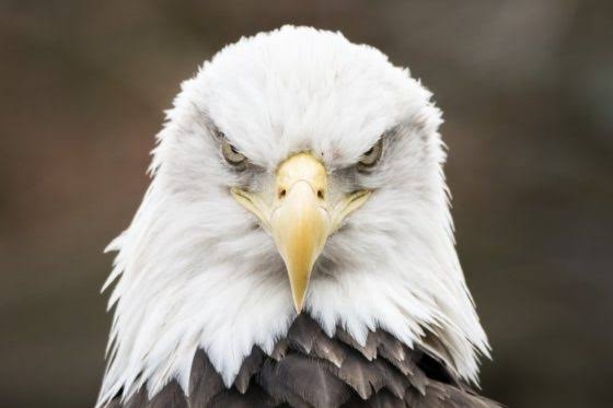 荻野由佳「NGT48暴行事件」誹謗中傷の日々を告白　発信者開示の法改正直前でもなお粘着し続ける「アンチ」