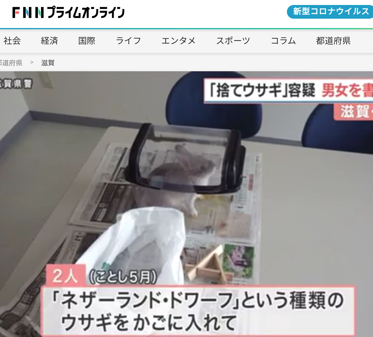 ペットのウサギ 駐輪場に捨てた“無責任”飼い主を書類送検 「言うこと聞かなくて捨てた」 ウサギは元気