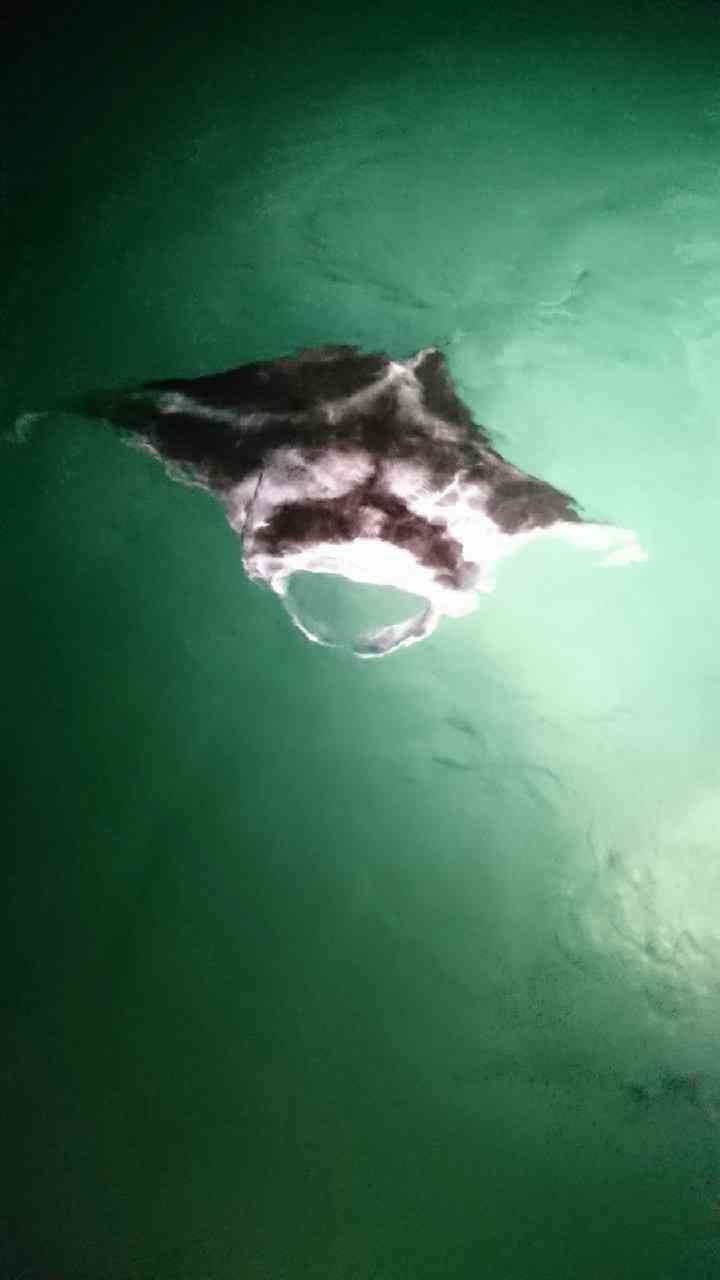 気になっている国を言うと、行ったことある人がどんな国か教えてくれるトピ Part7