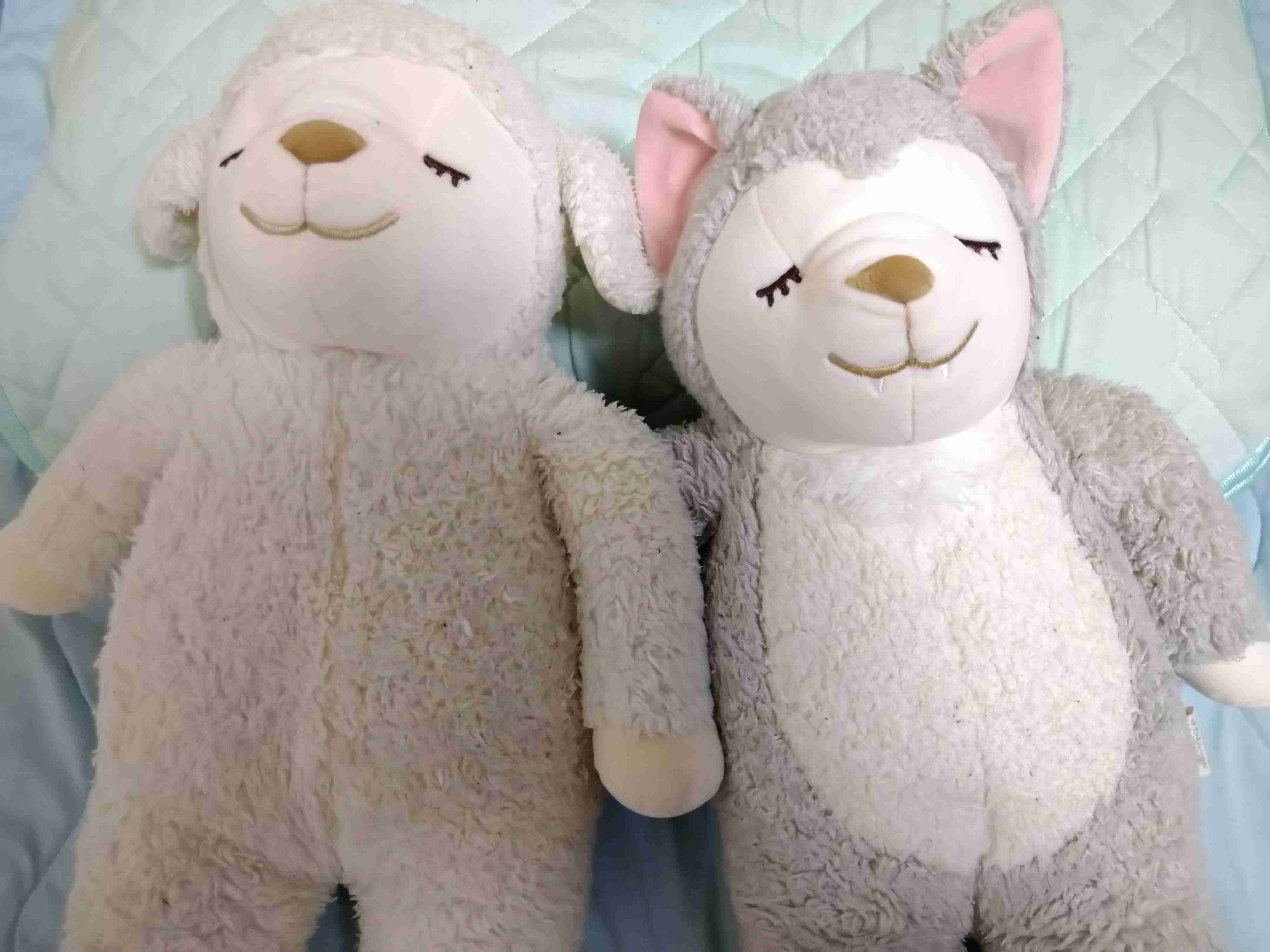 🧸ぬいぐるみ依存症🧸Part4