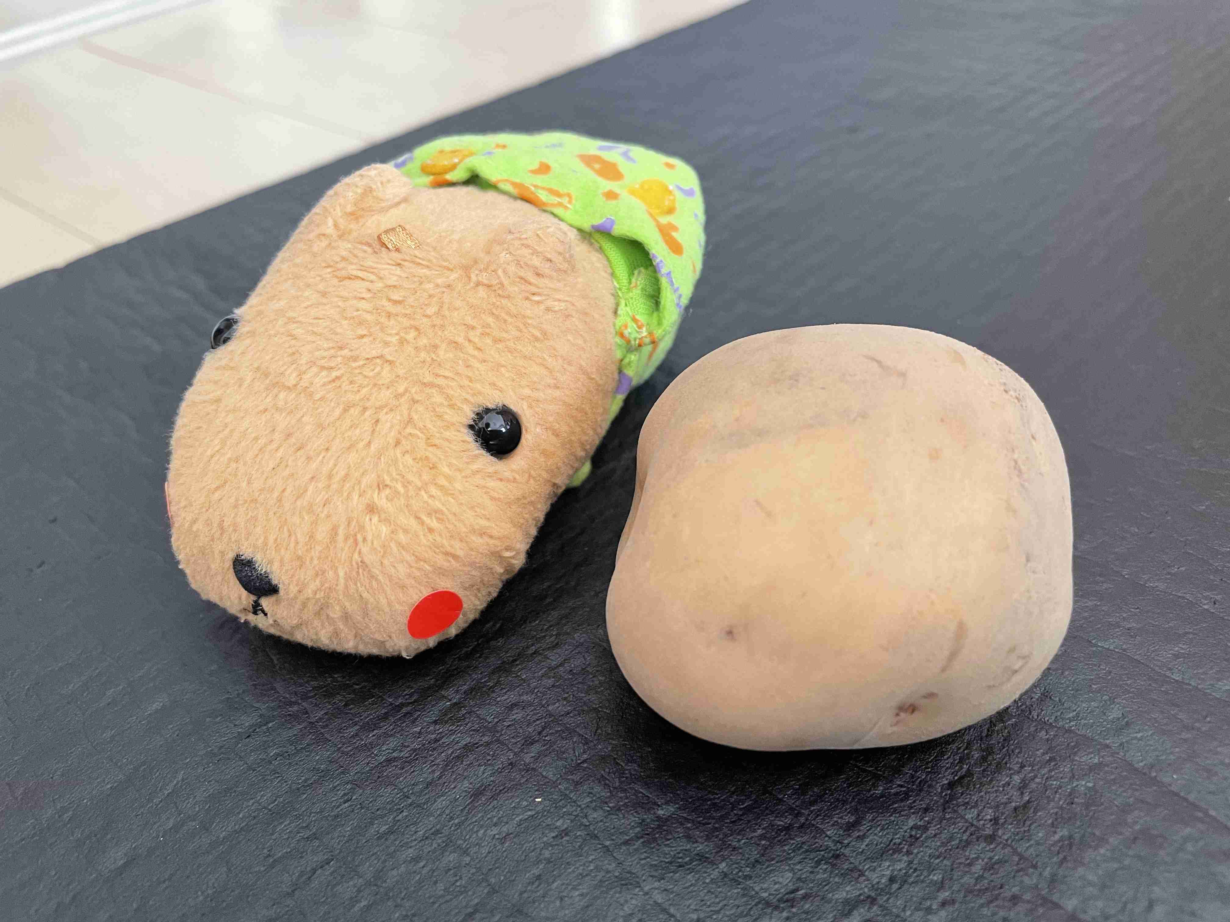 🧸ぬいぐるみ依存症🧸Part4