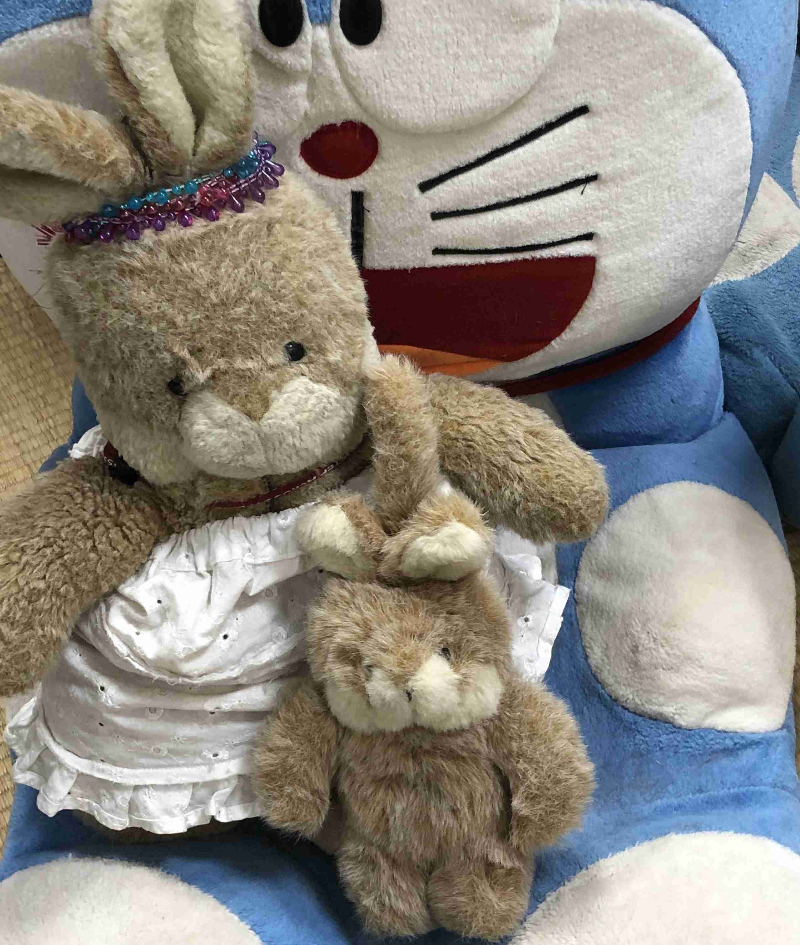 🧸ぬいぐるみ依存症🧸Part4