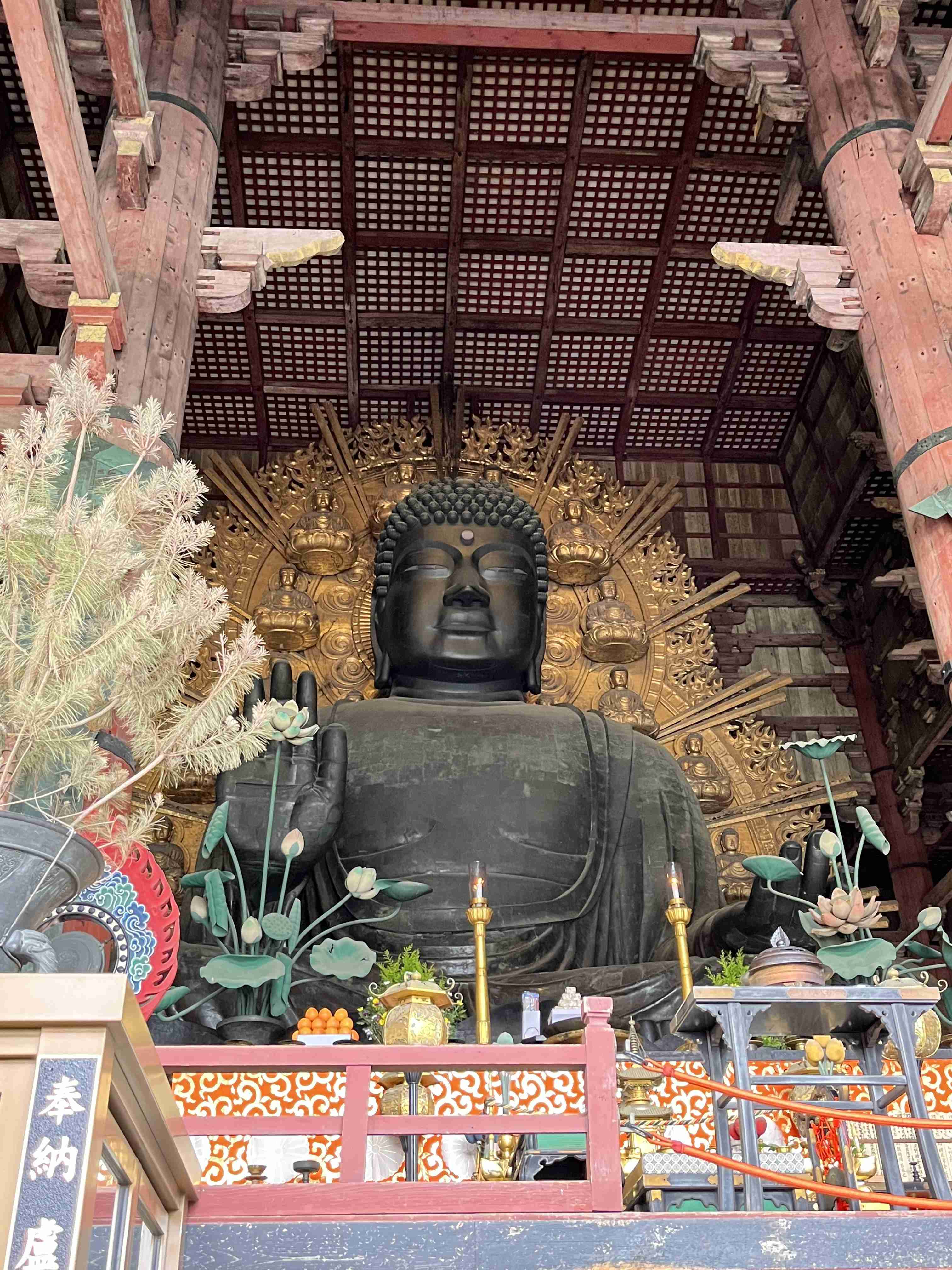 【パワースポット】自分で撮影した神社の写真貼るトピ