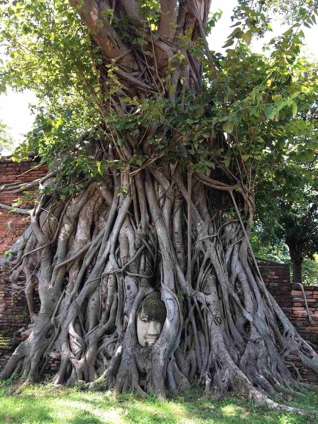 【パワースポット】自分で撮影した神社の写真貼るトピ