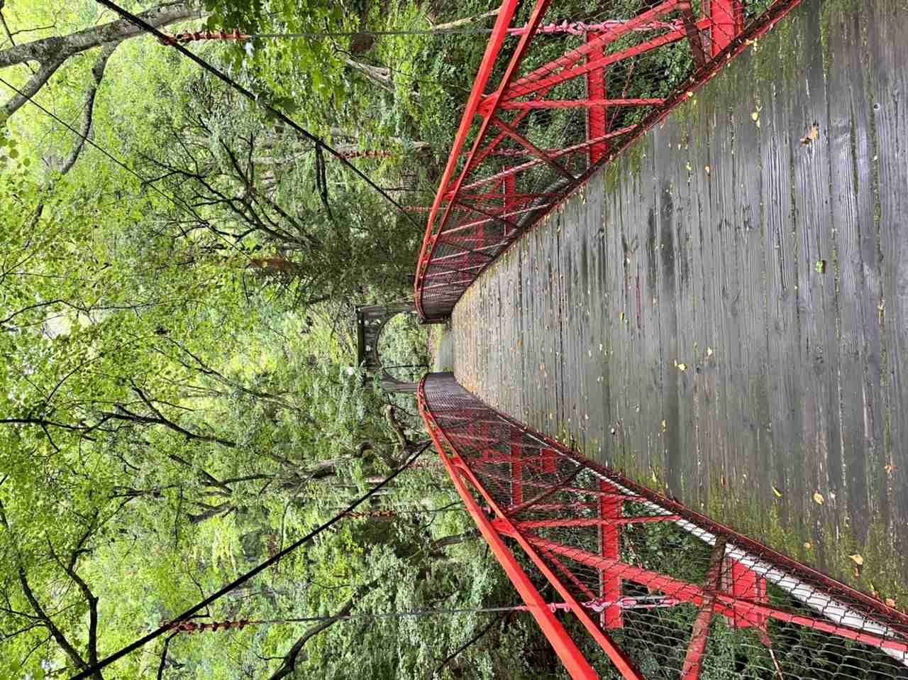 【パワースポット】自分で撮影した神社の写真貼るトピ