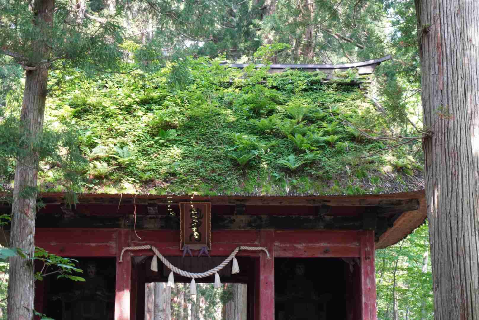 【パワースポット】自分で撮影した神社の写真貼るトピ