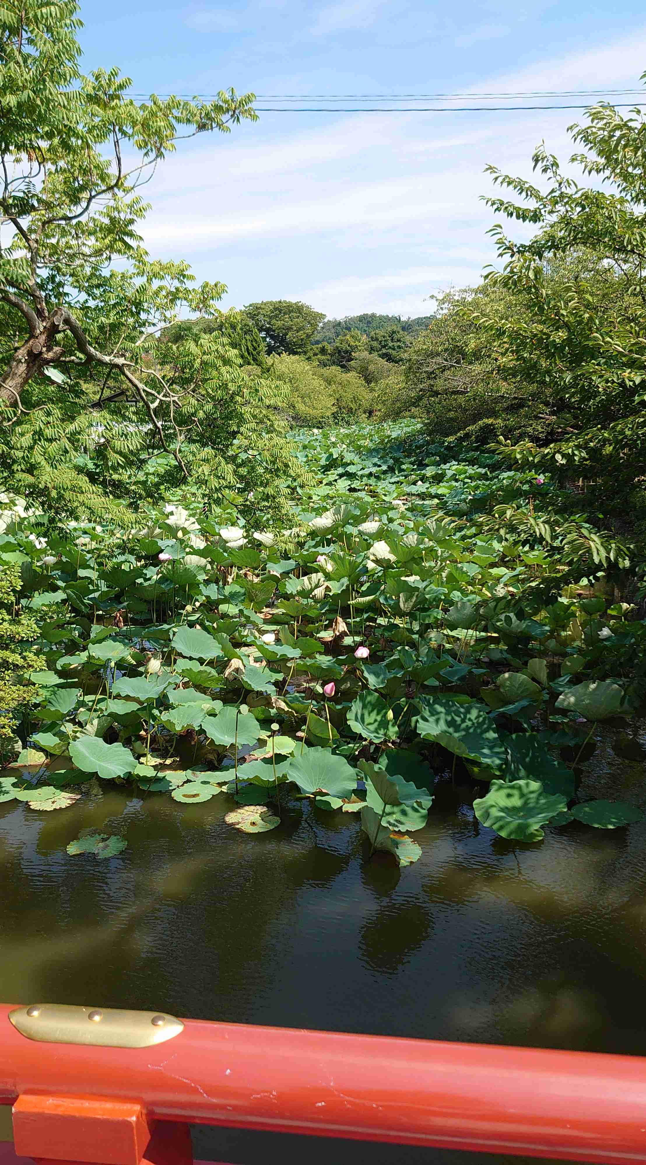 【パワースポット】自分で撮影した神社の写真貼るトピ