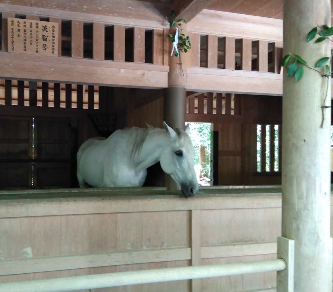 【パワースポット】自分で撮影した神社の写真貼るトピ