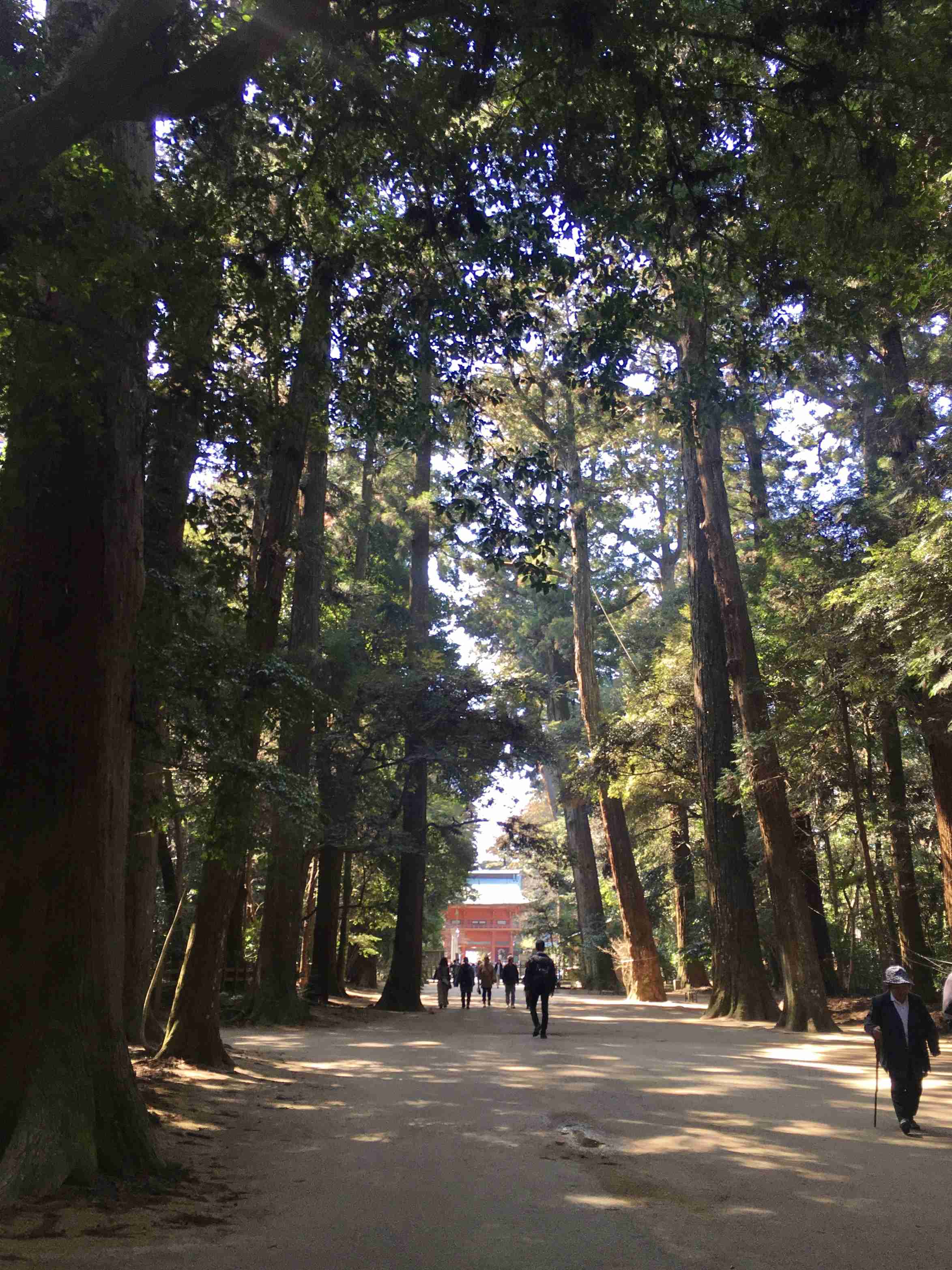 【パワースポット】自分で撮影した神社の写真貼るトピ